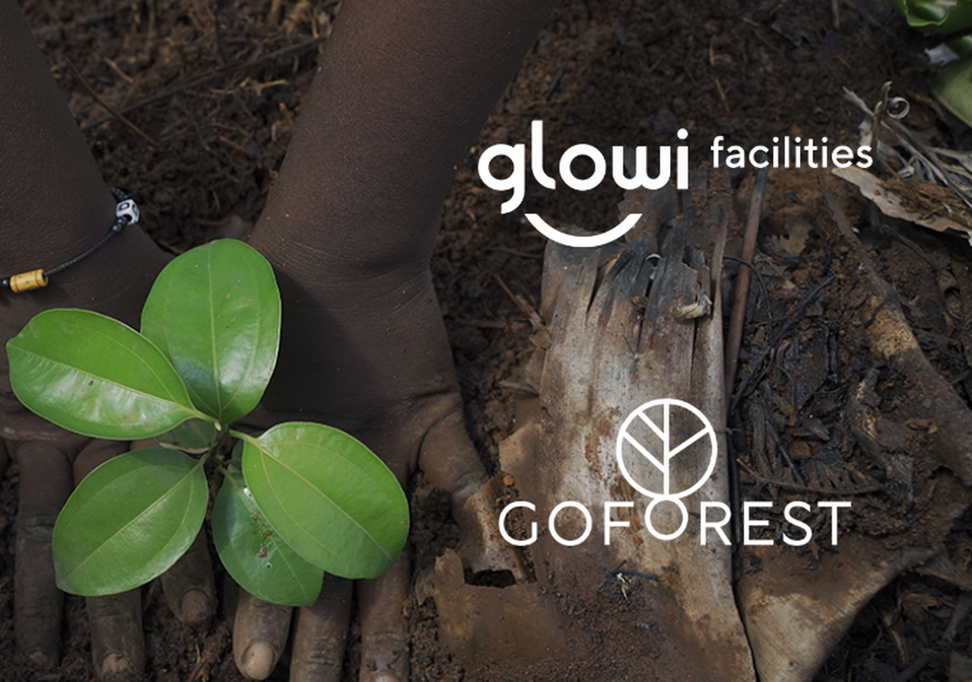 Glowi facilities x Go Forest 2