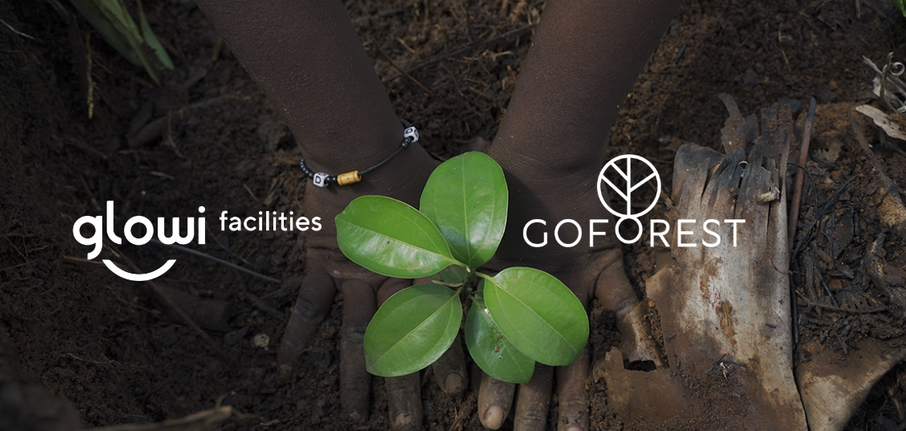 Glowi facilities x Go Forest