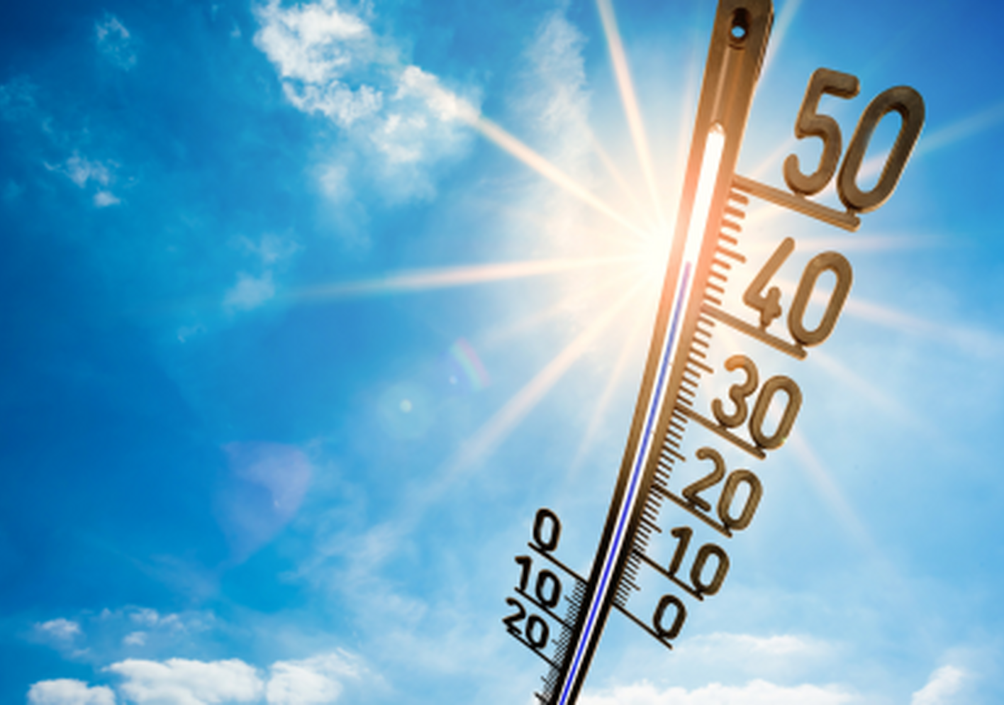 Hitte zomer veiligheid 2