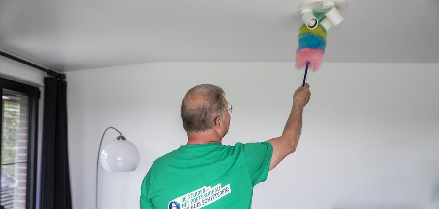 Afstoffen Nico landscape