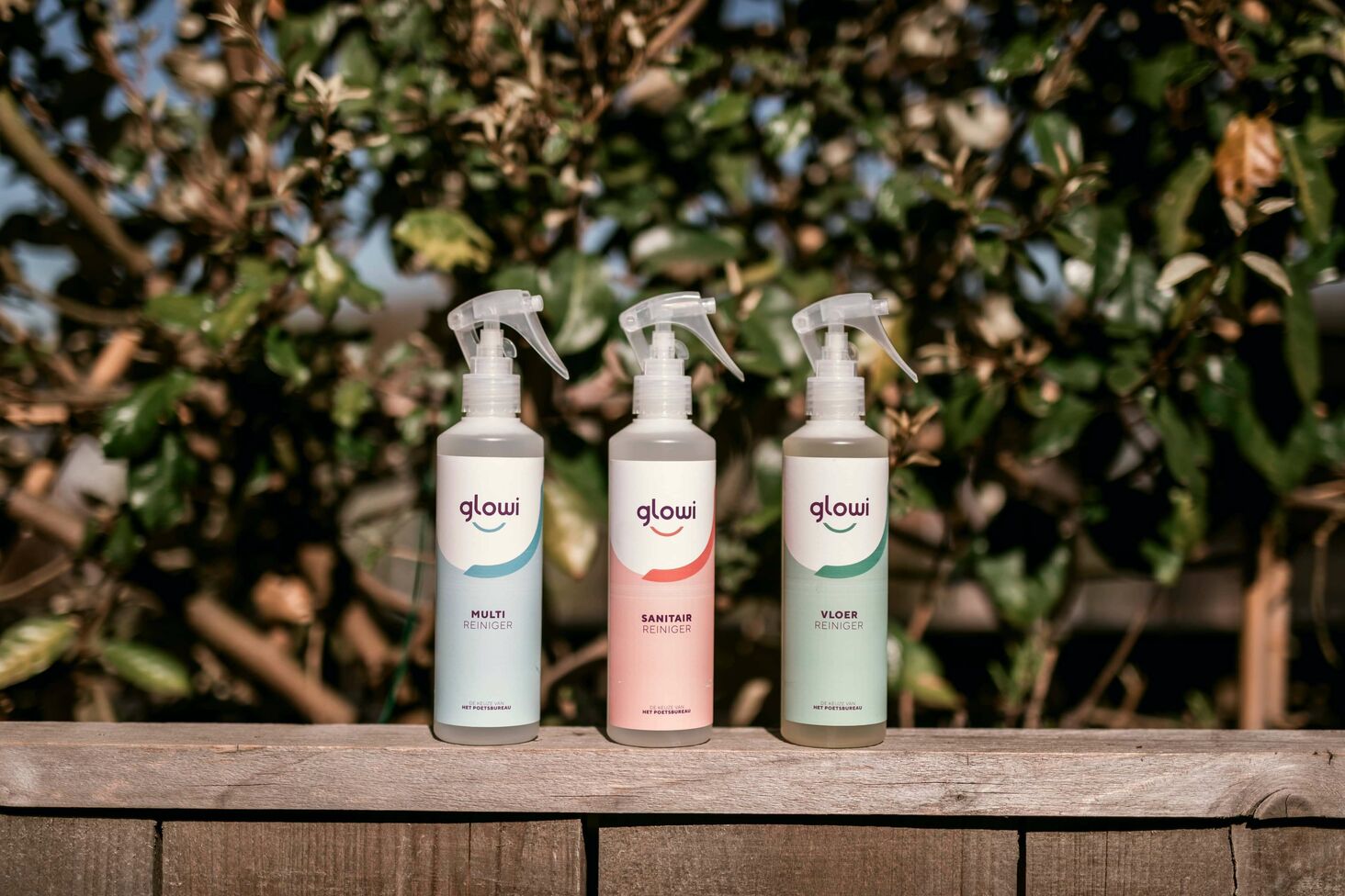 Glowi products