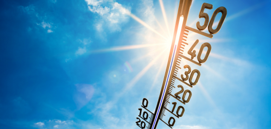 Hitte zomer veiligheid